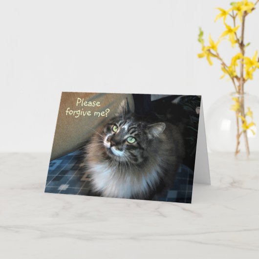 Het spijt me onweerstaanbare Cat Zorro Kaart (Gele Bloem)