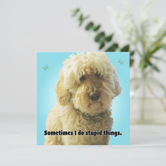 Het spijt me, soms doe ik domme dingen kaart (Staand voorkant)
