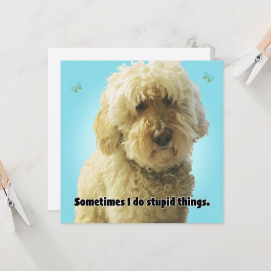 Het spijt me, soms doe ik domme dingen kaart (Voorkant / Achterkant in situ)