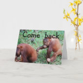 Het spijt me, we gaan weer bij elkaar kaart (Gele Bloem)