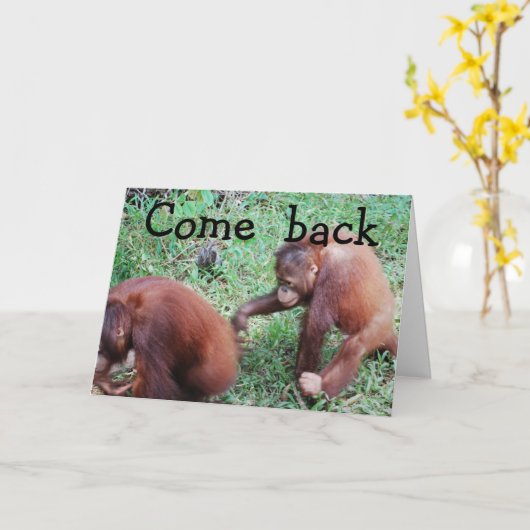 Het spijt me, we gaan weer bij elkaar kaart (Gele Bloem)