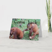 Het spijt me, we gaan weer bij elkaar kaart (Voorkant)