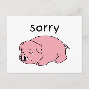 Het spijt me zo dat ik de roze stempelkaarten droo briefkaart