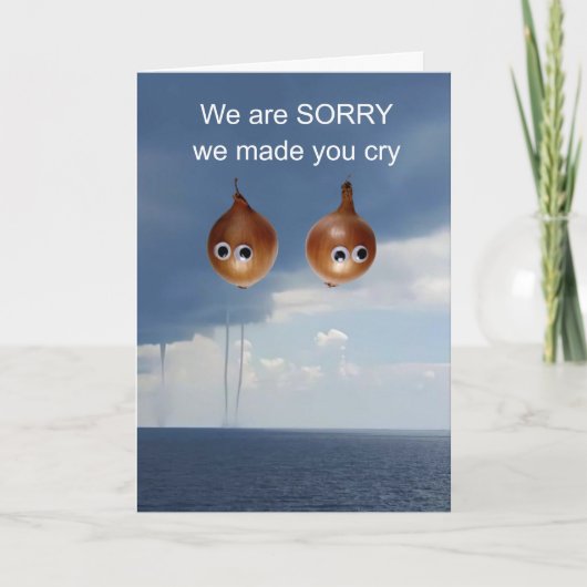 Het spijt ons dat we je hebben laten huilen. kaart (Voorkant)