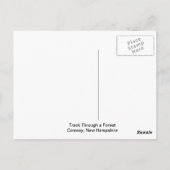 Het spoor door een Briefkaart van het Bos (Achterkant)
