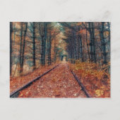 Het spoor door een Briefkaart van het Bos (Voorkant)