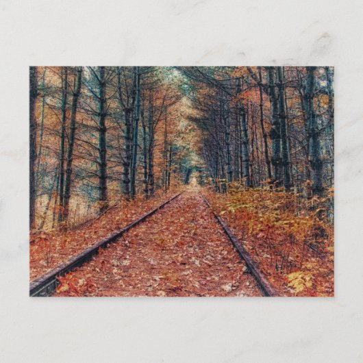Het spoor door een Briefkaart van het Bos (Voorkant)