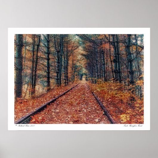 Het spoor door een Poster van het Bos (Voorkant)