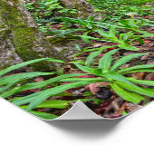 Het spoor Kalalau, de kust van Napali, Kauai, Hawa Poster (Hoek)