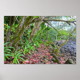 Het spoor Kalalau, de kust van Napali, Kauai, Hawa Poster