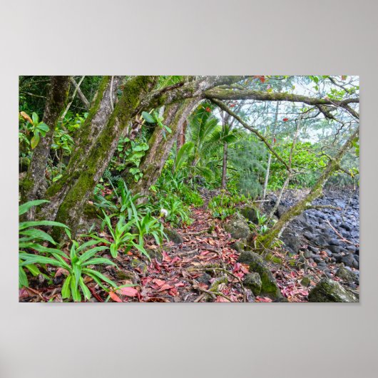 Het spoor Kalalau, de kust van Napali, Kauai, Hawa Poster (Voorkant)