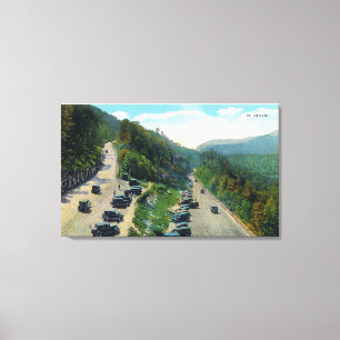 Het spoor omhoog van de Draai van de Haar, Geparke Canvas Afdruk