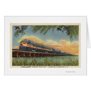 Het spoor van de Humming Bird