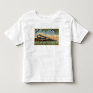 Het spoor van de Humming Bird Kinder Shirts