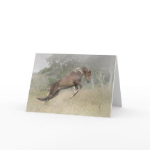 Het Springen van het paard