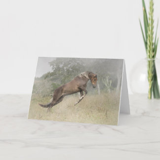 Het Springen van het paard Kaart