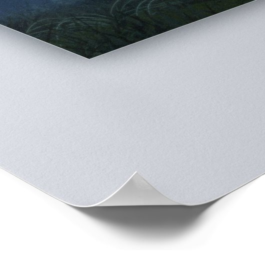 Het sprookjesbos poster (Hoek)