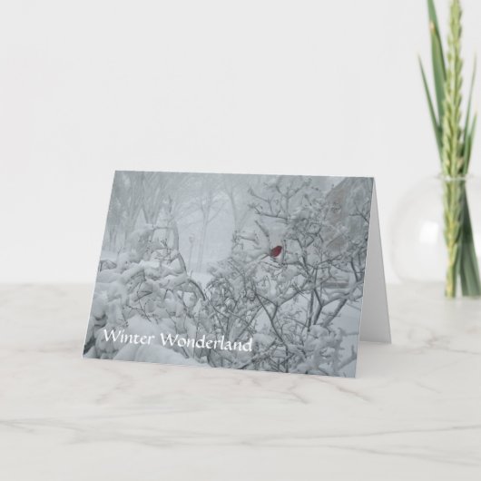 Het Sprookjesland van de winter Feestdagen Kaart (Voorkant)