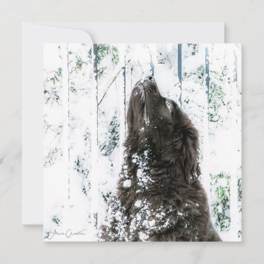 Het Sprookjesland van de winter Feestdagenkaart (Voorkant)