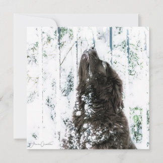 Het Sprookjesland van de winter Feestdagenkaart