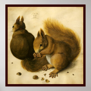 HET SQUIRREL MET NOTEN POSTER