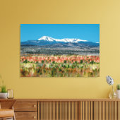 Het staatspark Katahdin Baxter in Maine Canvas Afdruk (Insitu (Woonkamer))