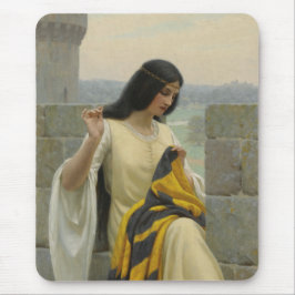 Het standaard vaandel borduren (Middeleeuwse vrouw Muismat