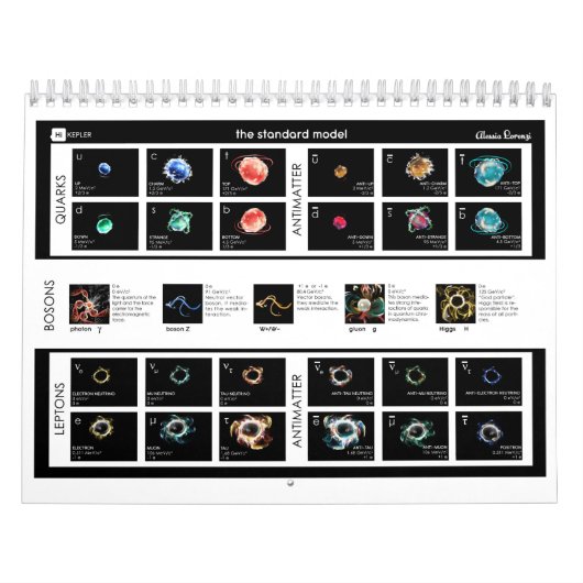 Het standaardmodel van deeltjes kalender (Hoes)