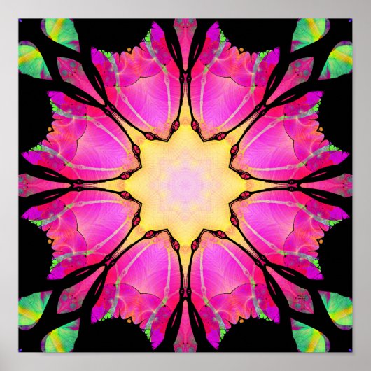 Het Star (12 x 12 inch) Art Print Poster (Voorkant)