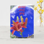 Het staren Bal/Vrede, Liefde, Vreugde Kaart (Gele Bloem)
