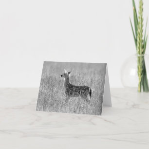 Het staren Fawn Kaart