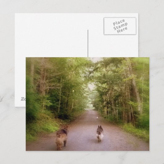 Het startpunt briefkaart (Voorkant / Achterkant)