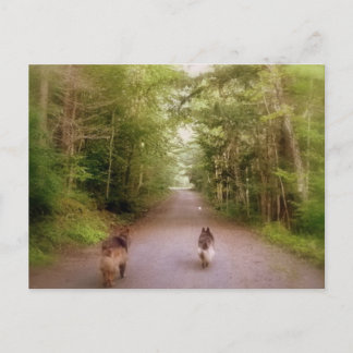 Het startpunt briefkaart