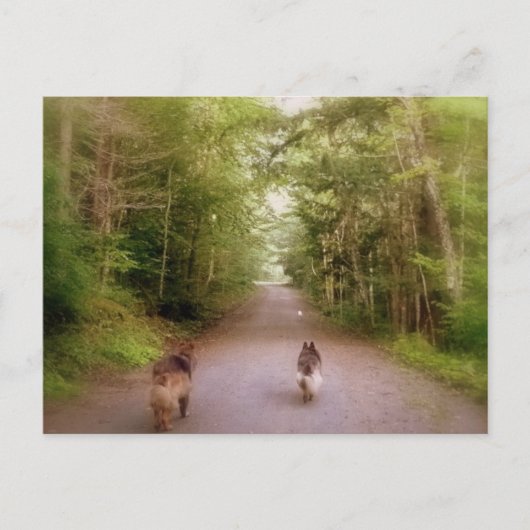 Het startpunt briefkaart (Voorkant)