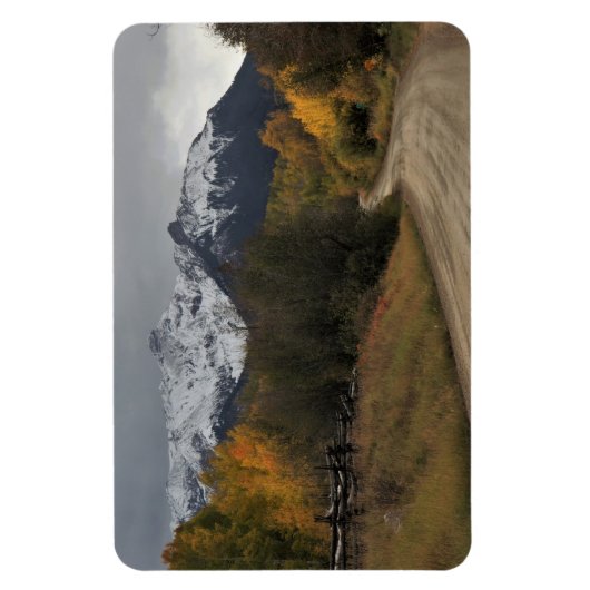 Het startpunt magneet (Verticaal)