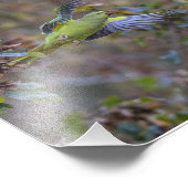 Het stelen van de boomkor foto afdruk (Hoek)