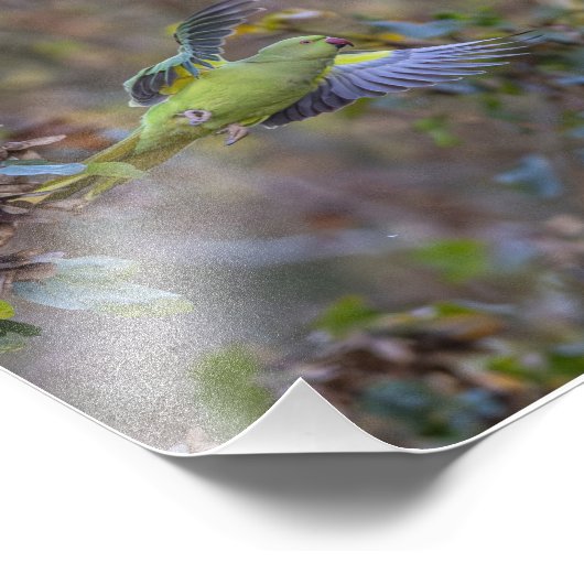 Het stelen van de boomkor foto afdruk (Hoek)