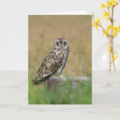 Het Stellen van de uil Kaart (Gele Bloem)