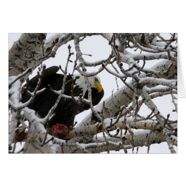 Het sterke Survive (Voorkant Horizontaal)