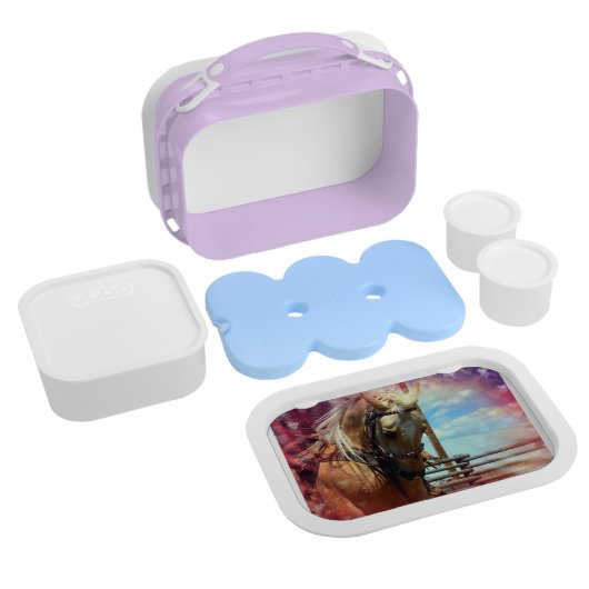 Het sterrenpaard lunchbox (Gehele Product)