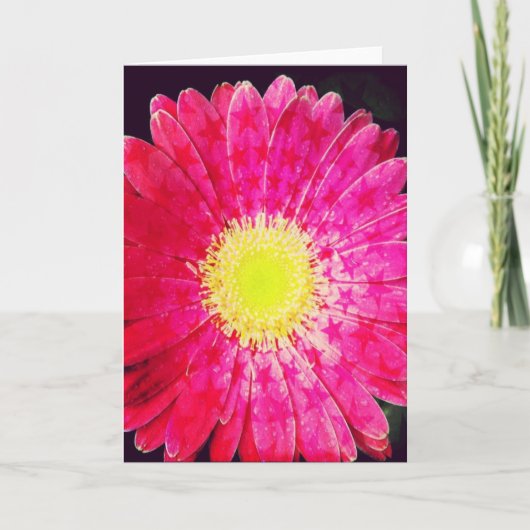 Het sterrige Roze Wenskaart van Gerbera Daisy Kaart (Voorkant)
