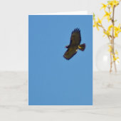 Het stijgen Rode De steel verwijderde van Havik Kaart (Gele Bloem)