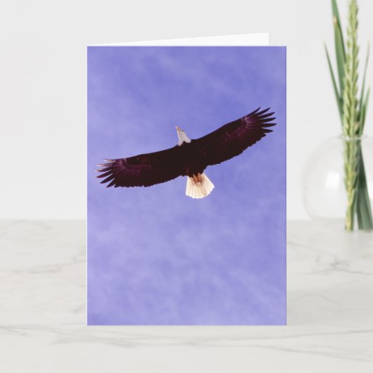 Het stijgende Wenskaart van Eagle Kaart (Voorkant)