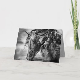 "Het Storm binnen" - Wenskaart Kaart