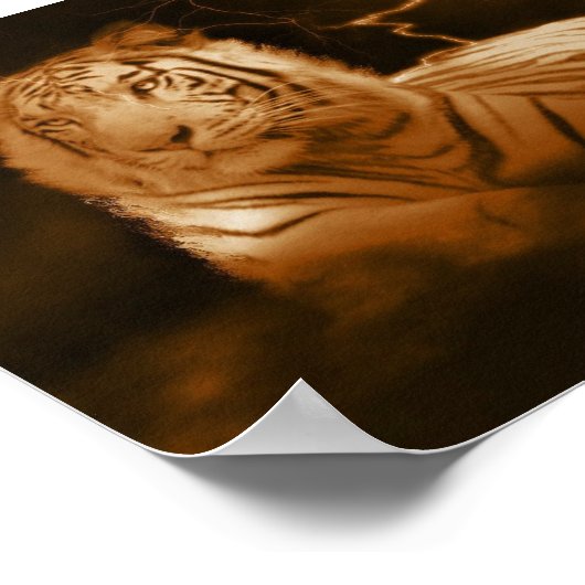 Het Storm Poster (Hoek)