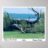 HET STORM STUART PARK 2021 POSTER (Voorkant)