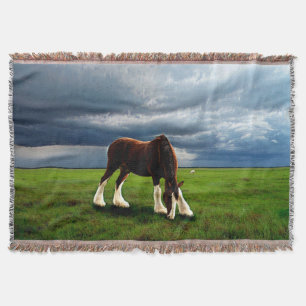 Het Storm van Clydesdale Deken