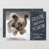 Het stormen door de Kaart van het Huisdier van de (Voorkant / Achterkant)