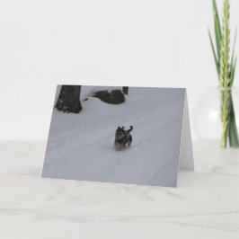 Het stormen van bepaalde puppykaart feestdagen kaart