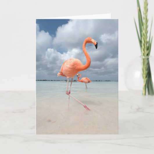 Het Strand Aruba van flamingo's Kaart (Voorkant)